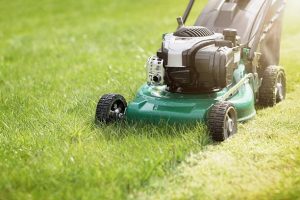 lawn mowing services Adelaide