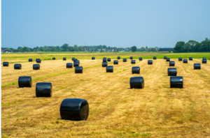 bale wrap