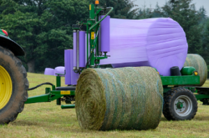net replacement film leading manufacturers