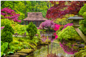 https://catnikdesignstudio.com.au garden design Adelaide
