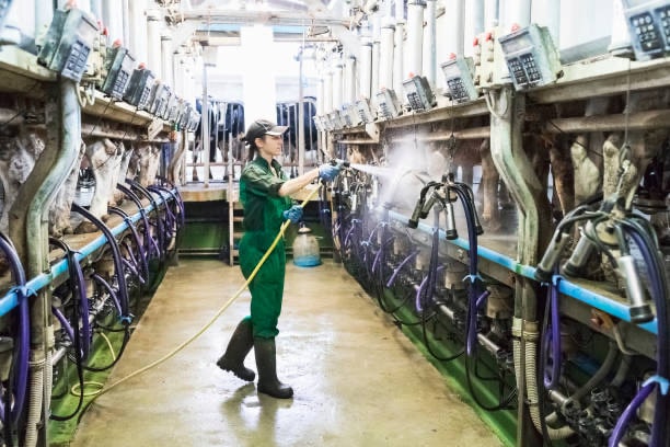 Factory Cleaning Melbourne: Factory Cleaning Services - African Art First