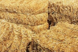 baling twine
