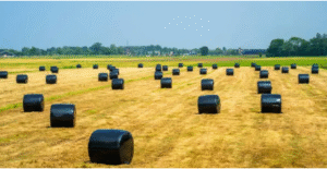 durable silage wrap