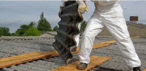 asbestos removal cost