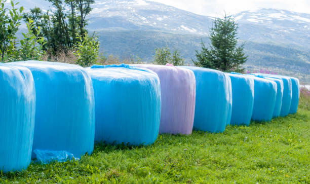 silage film