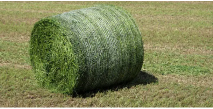 net wrap
