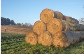 baling twine