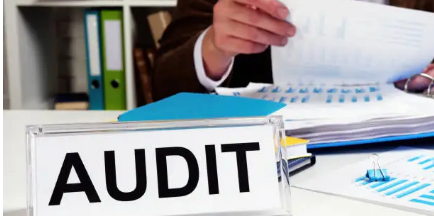 NDIS audit support