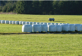 silage plastic